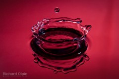 03 - Splash 03 - Splash